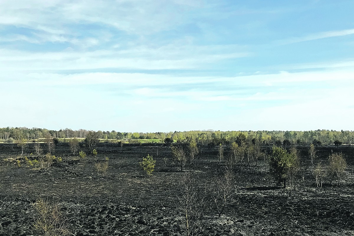 een veld in Brecht