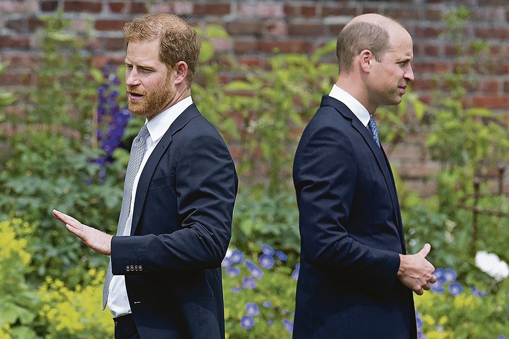 Harry en William