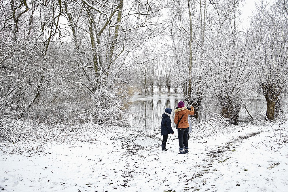 sneeuw in België
