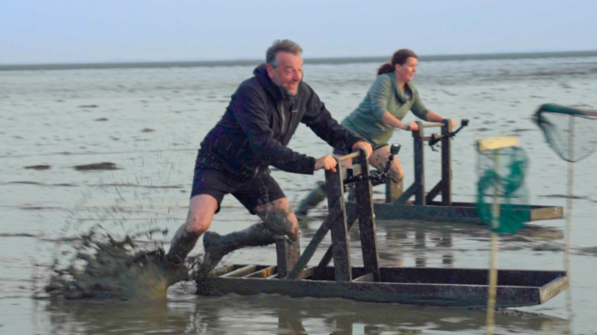 Tom Waes in Reizen Waes