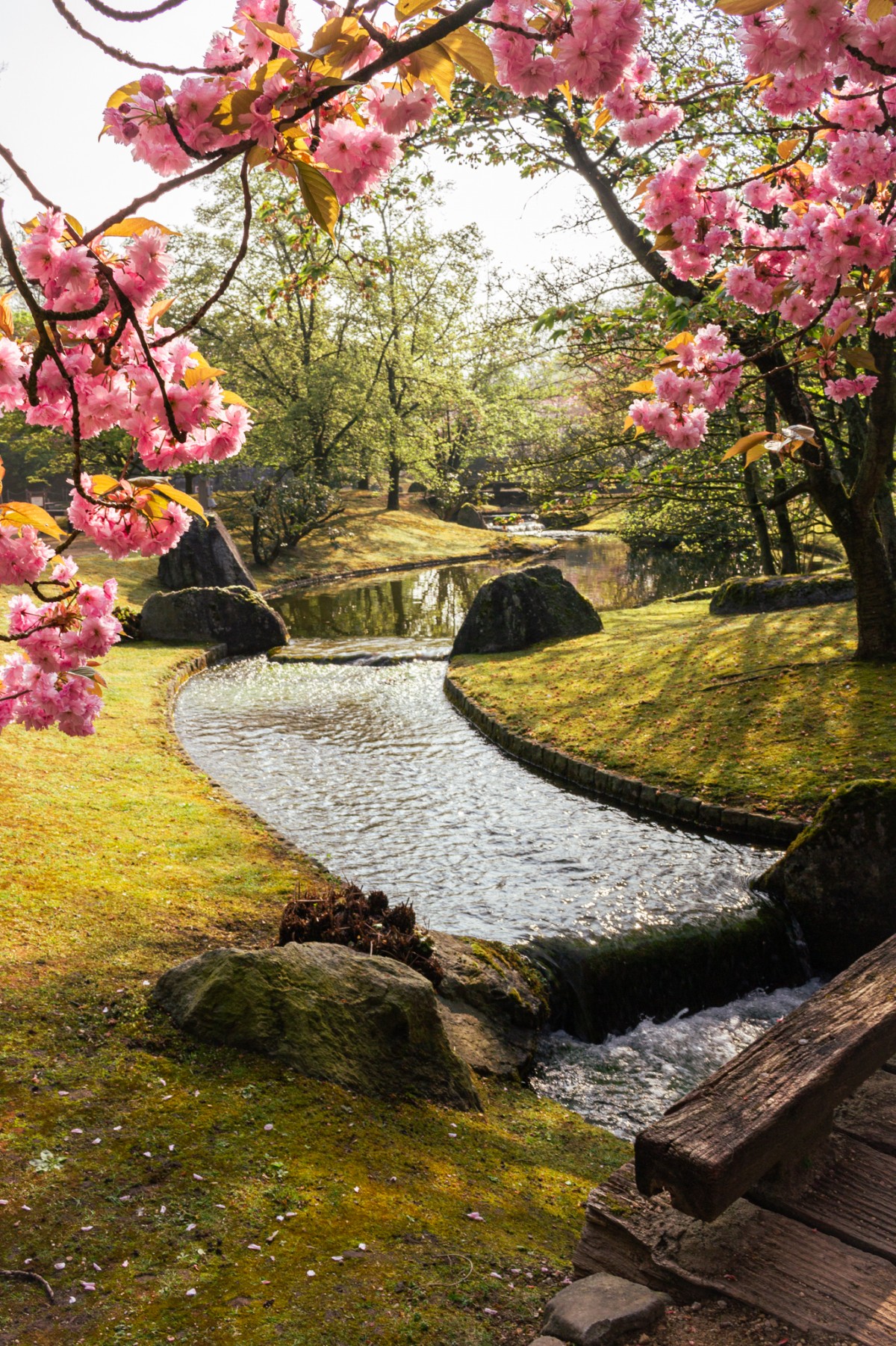 Japanse tuin