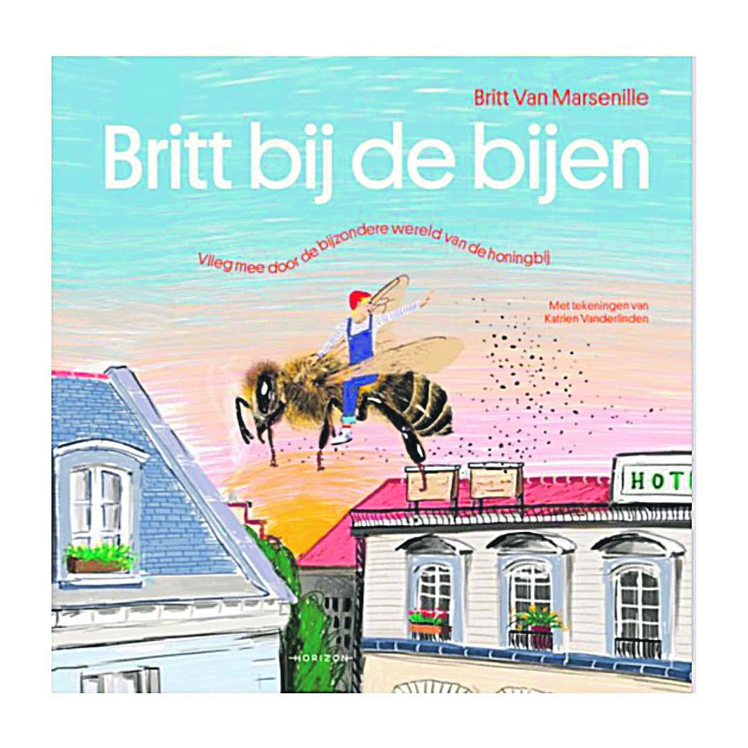 het boek van Britt