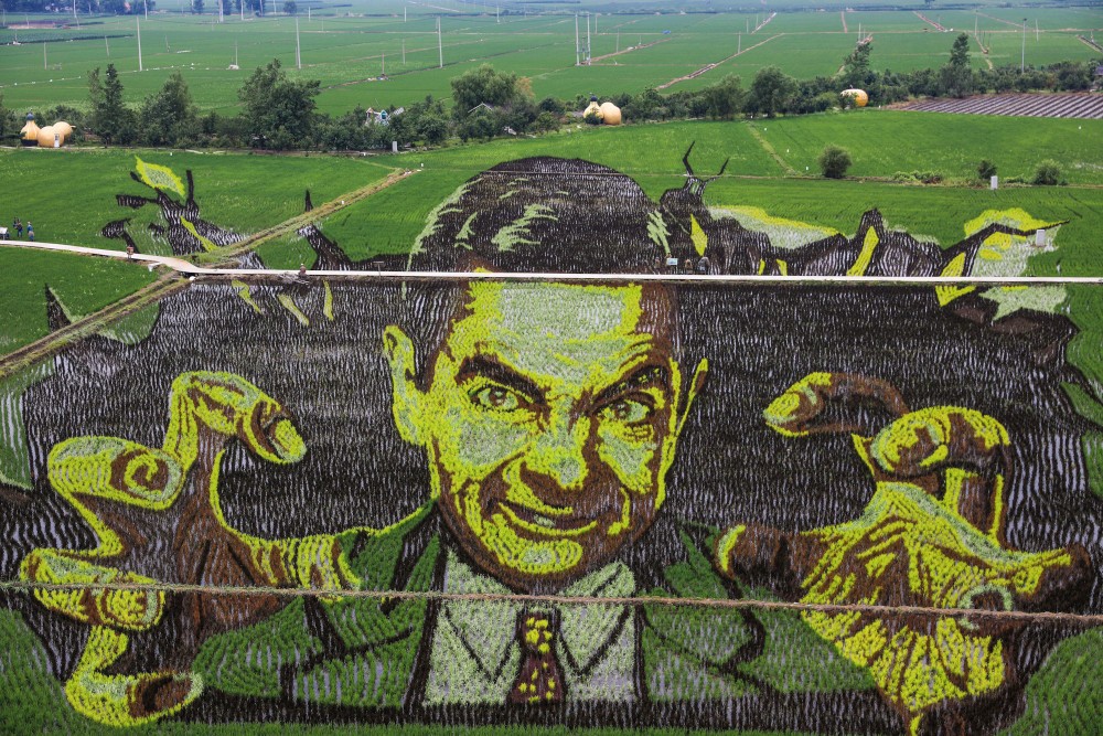 tekening in een veld van rijst