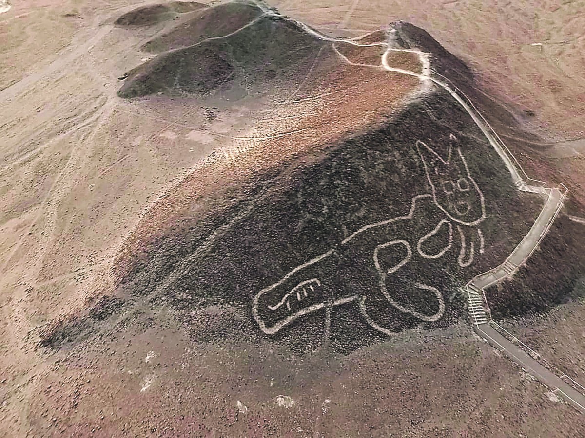 een kat, getekend in de bergen