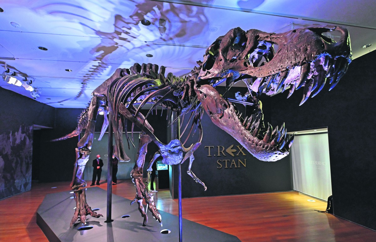 skelet van een dinosaurus