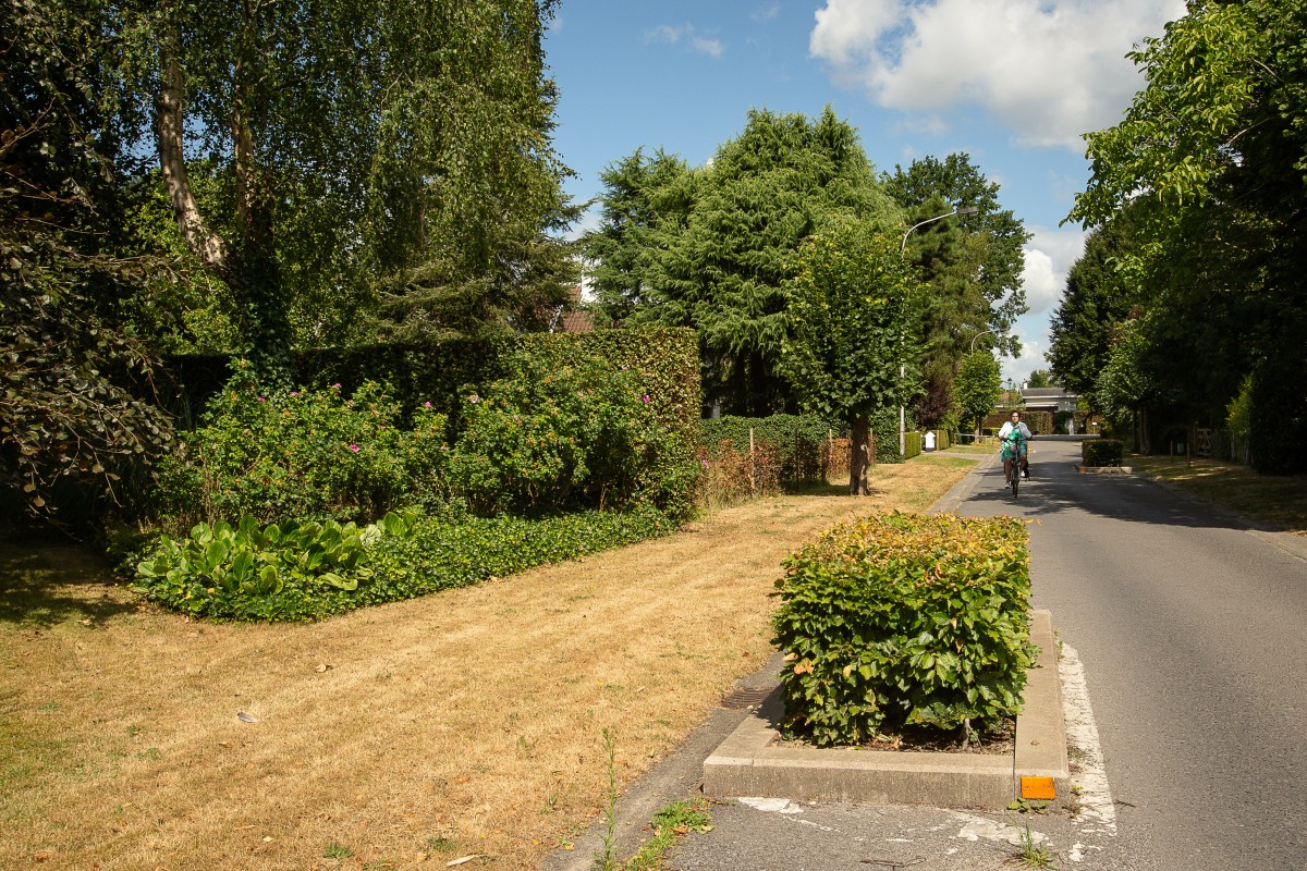 Droogte