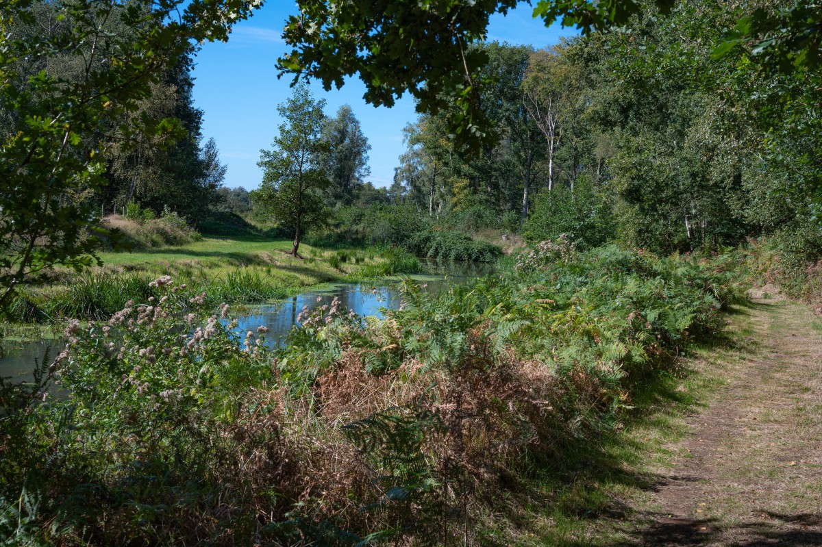 natuur in Vlaanderen