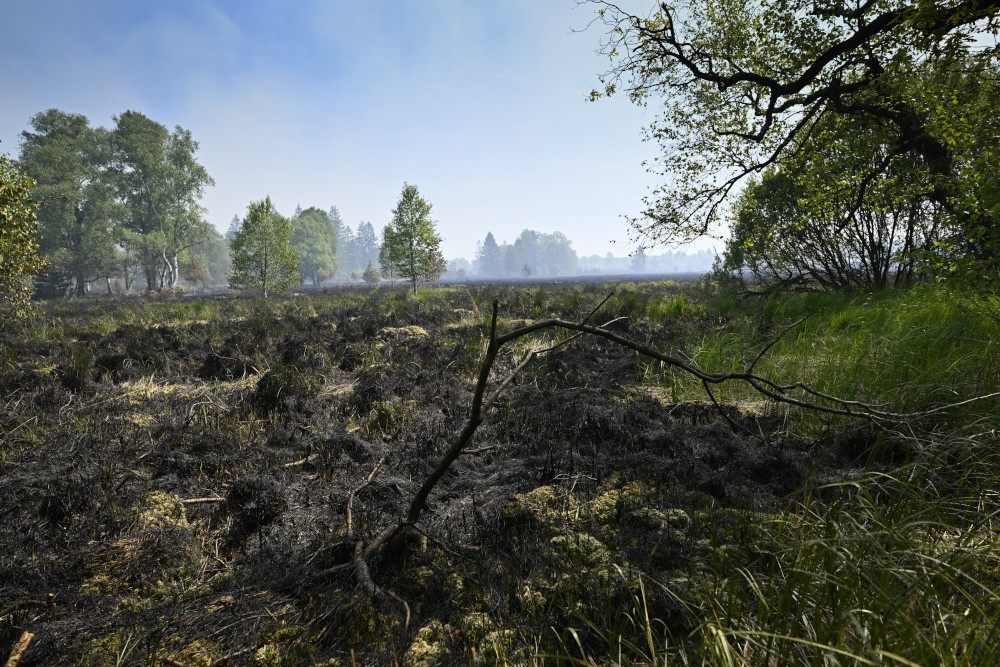 Hoge Venen na brand