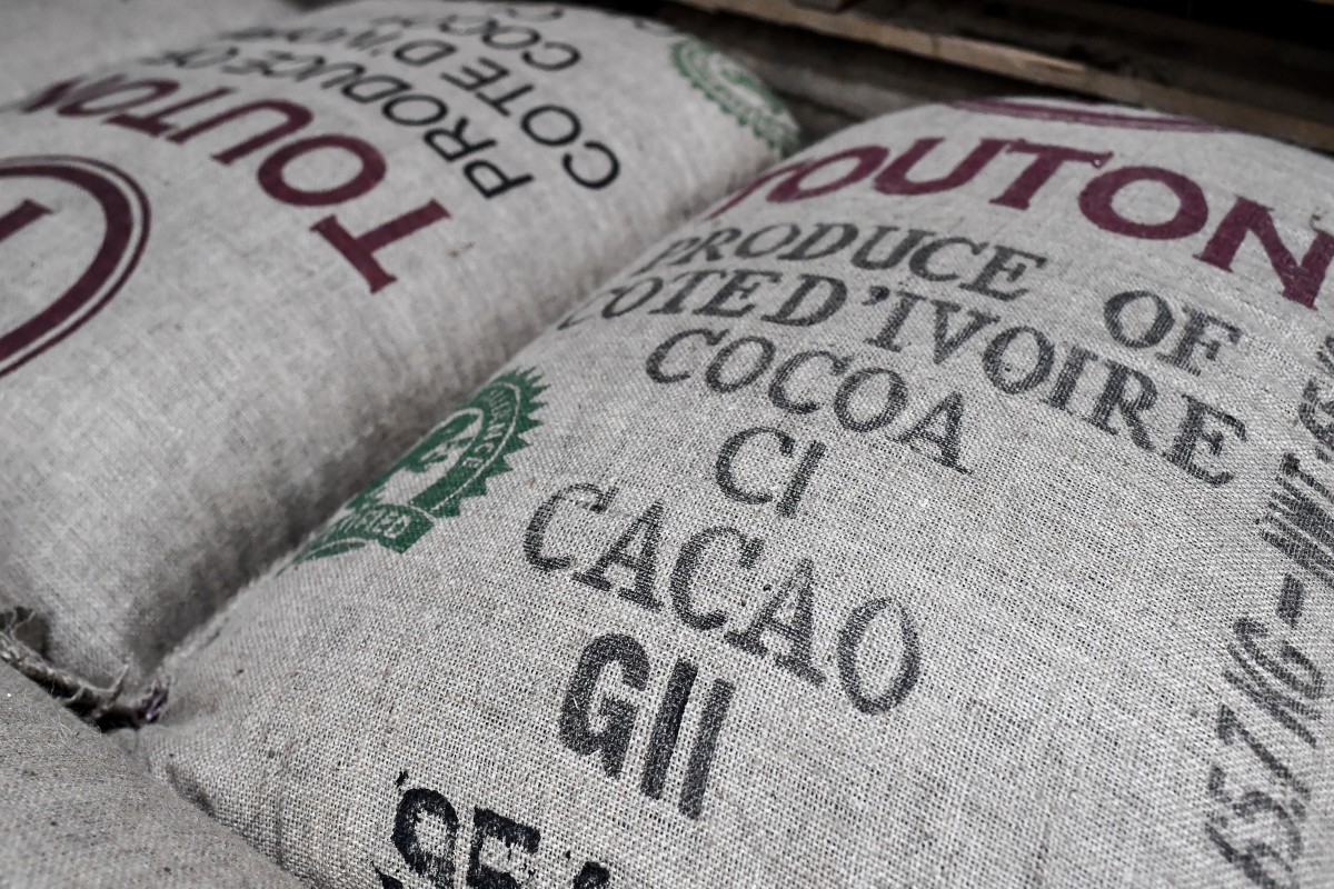 grote zakken met cacao-bonen