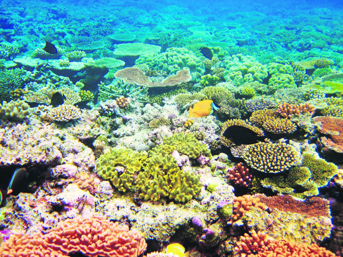 Great Barrier Reef