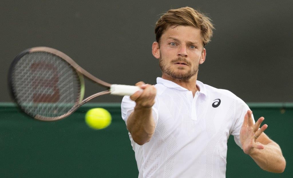 David Goffin