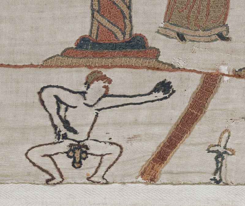 Penis