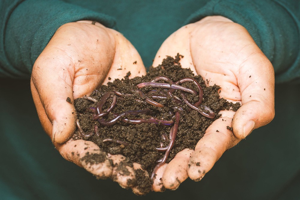 compost in twee handen