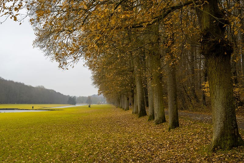 herfst Tervuren